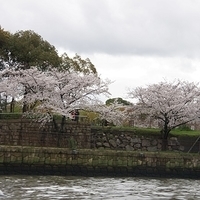 2014.03.30-262.JPG