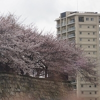 2014.03.30-263.JPG