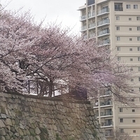 2014.03.30-264.JPG