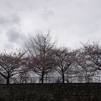 2014.03.30-265.JPG