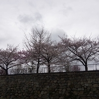 2014.03.30-266.JPG
