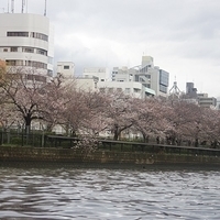2014.03.30-272.JPG