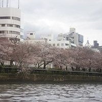 2014.03.30-273.JPG