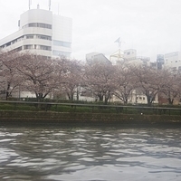 2014.03.30-274.JPG