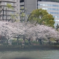 2014.03.30-275.JPG