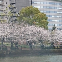 2014.03.30-276.JPG
