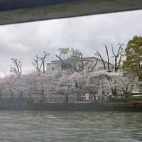 2014.03.30-277.JPG