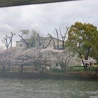 2014.03.30-278.JPG