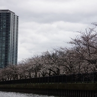 2014.03.30-283.JPG