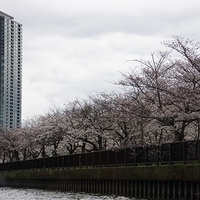2014.03.30-284.JPG