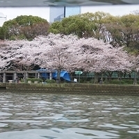 2014.03.30-285.JPG
