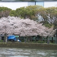 2014.03.30-286.JPG