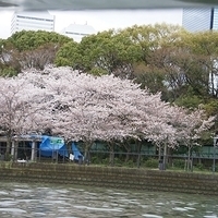 2014.03.30-287.JPG