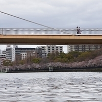 2014.03.30-289.JPG
