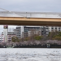 2014.03.30-290.JPG