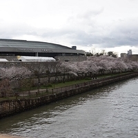 2014.03.30-295.JPG