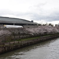 2014.03.30-296.JPG