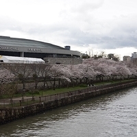 2014.03.30-297.JPG