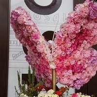 2014.03.30-299.JPG