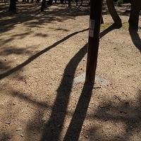 2014.03.31-003.JPG