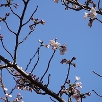 2014.03.31-004.JPG