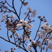 2014.03.31-005.JPG