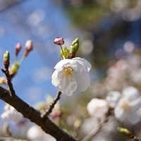 2014.03.31-011.JPG