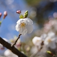 2014.03.31-012.JPG