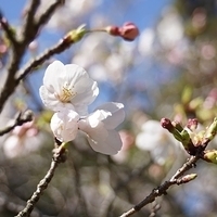 2014.03.31-013.JPG
