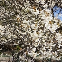 2014.03.31-014.JPG