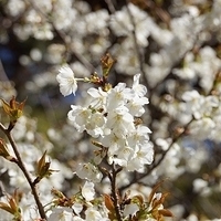 2014.03.31-015.JPG