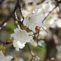 2014.03.31-017.JPG