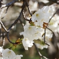 2014.03.31-018.JPG