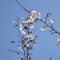 2014.03.31-022.JPG