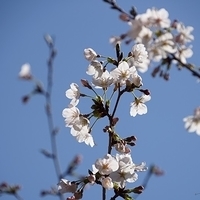 2014.03.31-023.JPG