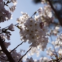 2014.03.31-042.JPG