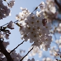 2014.03.31-043.JPG