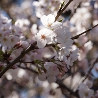 2014.03.31-044.JPG