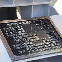 2014.03.31-051.JPG