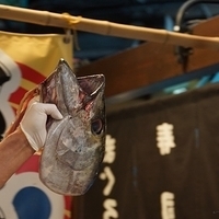 2014.03.31-212.JPG