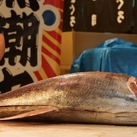 2014.03.31-227.JPG