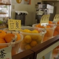 2014.03.31-252.JPG
