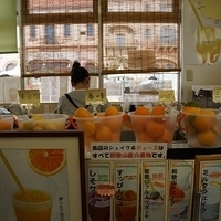 2014.03.31-253.JPG