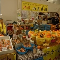 2014.03.31-255.JPG