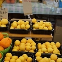 2014.03.31-257.JPG