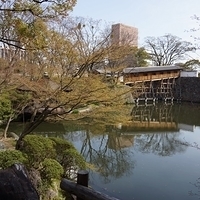 2014.04.01-013.JPG