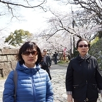 2014.04.01-014.JPG