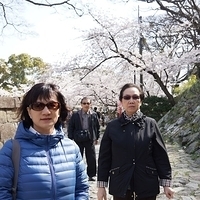 2014.04.01-016.JPG