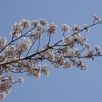 2014.04.01-022.JPG