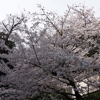 2014.04.01-023.JPG